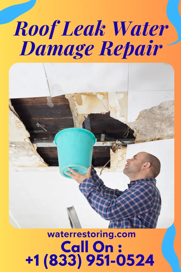 Roof Leak Water Damage Repair in Centropolis, KS